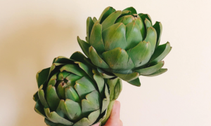 Día Nacional de la Alcachofa